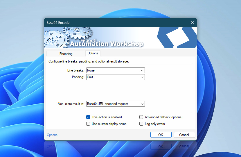 Base64 Encode · Options