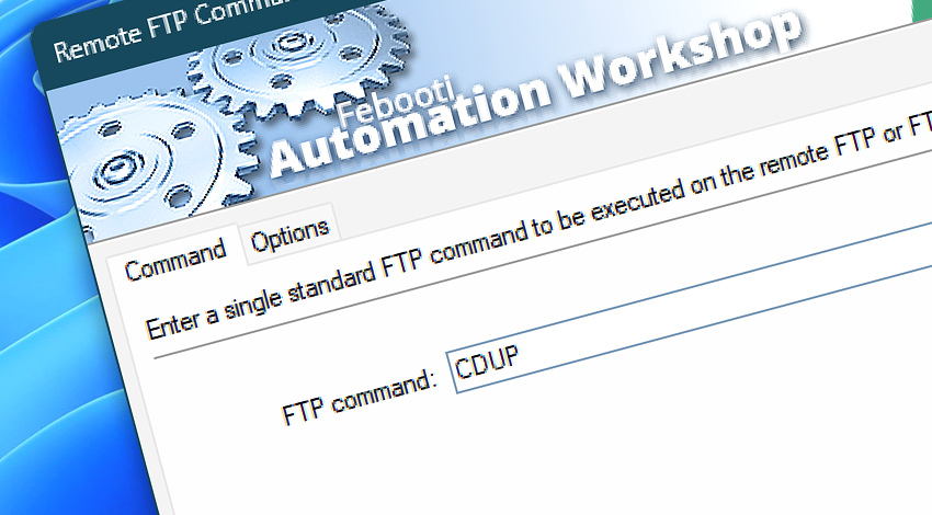 Remote FTP Command