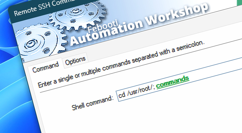 Remote SSH Command