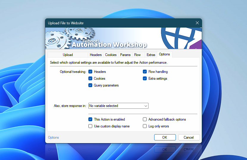 Upload File to Website · Options