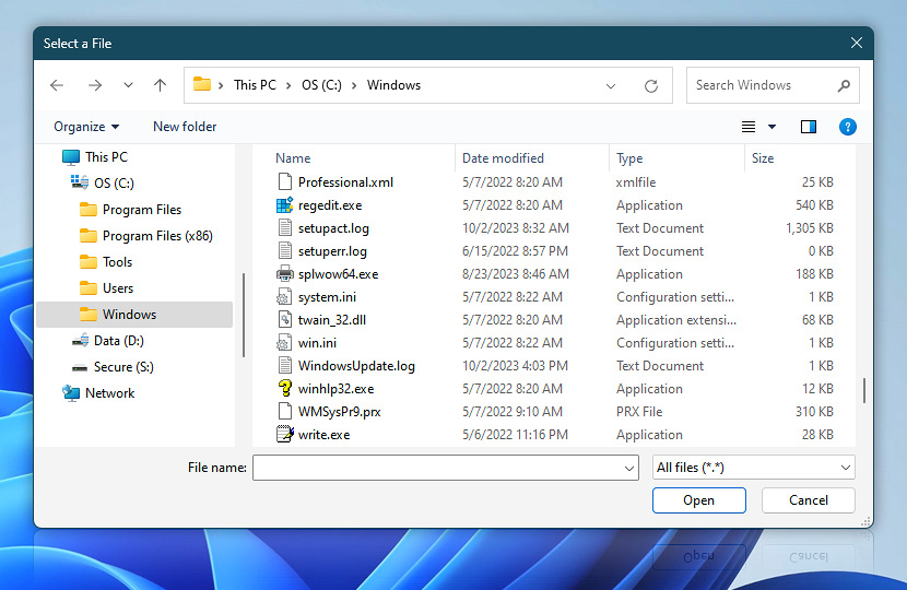 Browse for files Windows dialog box