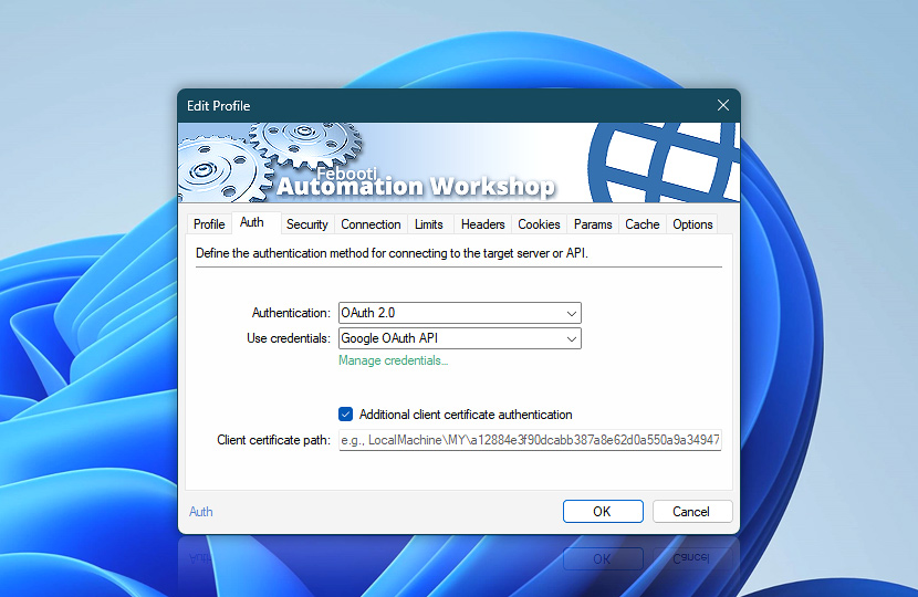 Internet & Web Profiles · Auth