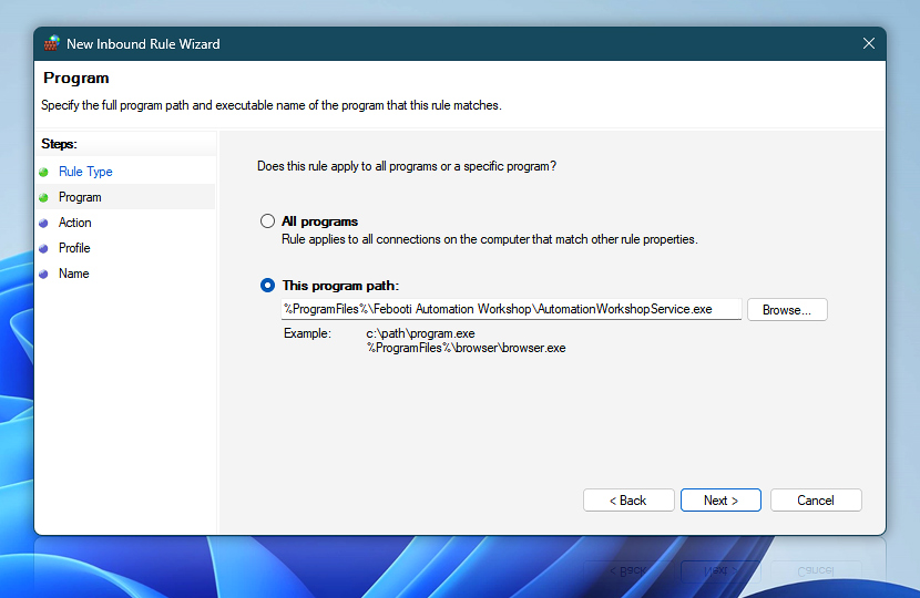 New Inbound Rule Wizard · Rule that controls connections for a program