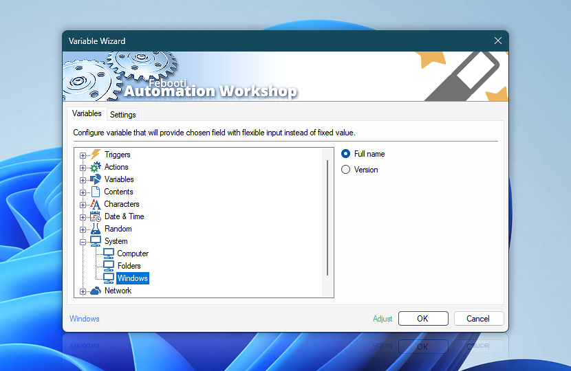 Variable Wizard · Windows