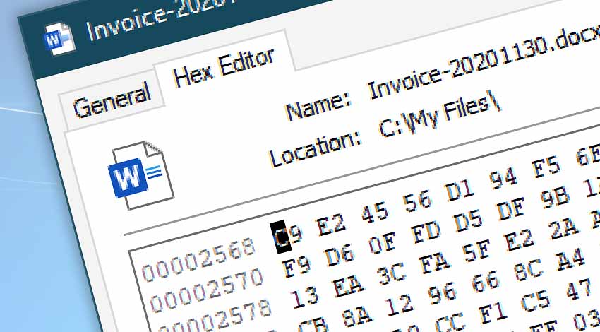 how to use hex workshop hex editor